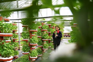 農(nóng)業(yè)產(chǎn)業(yè)周報 海大、伊利領銜行業(yè)動態(tài)，資本聚焦智慧農(nóng)業(yè)與生物技術(shù)